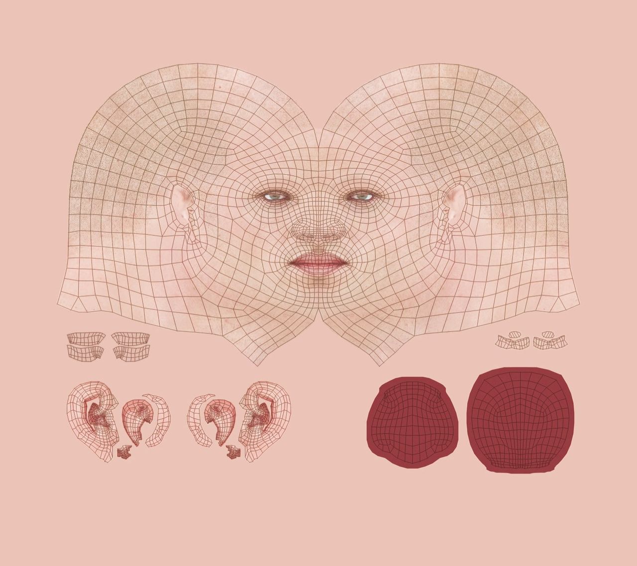 Photorealistic UV map of the human face